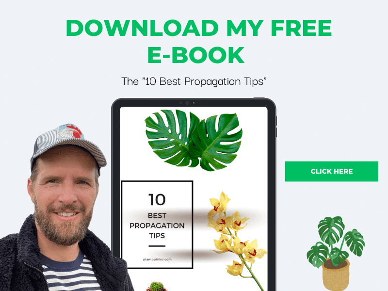 10个最佳植物传播技巧免费电子书